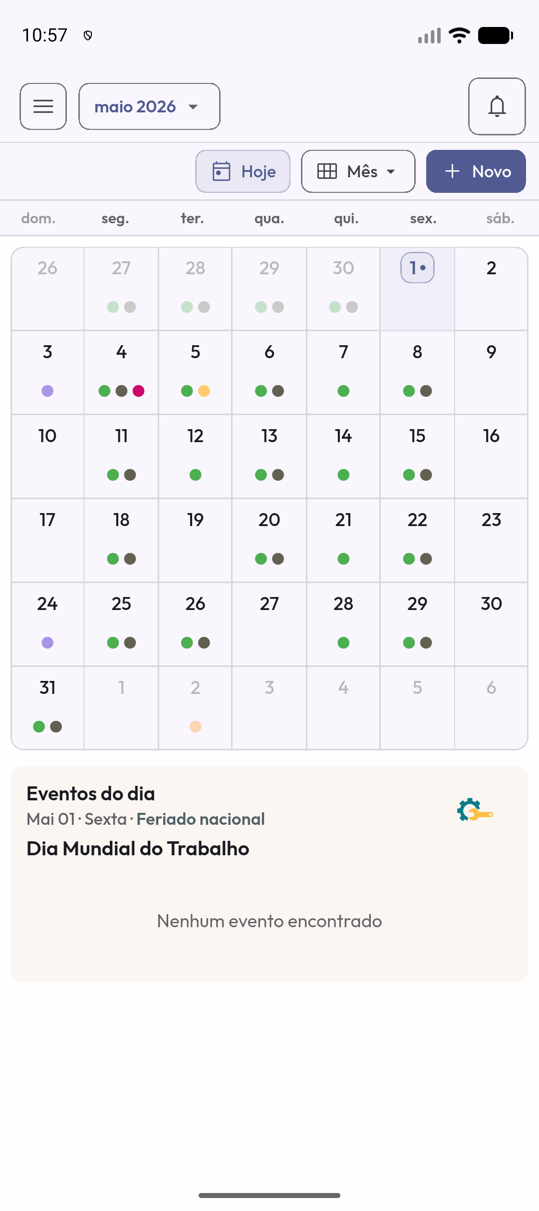 Tela real do calendário na visão mensal compacta com indicação de feriado
